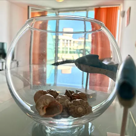 아파트 Julia Family - Menada 써니비치